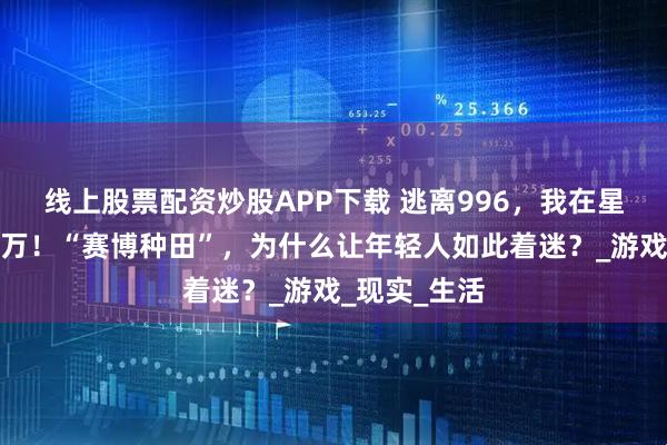 线上股票配资炒股APP下载 逃离996，我在星露谷月入百万！“赛博种田”，为什么让年轻人如此着迷？_游戏_现实_生活