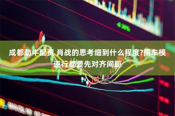 成都劲牛配资 肖战的思考细到什么程度?摆车模逆行都要先对齐间距