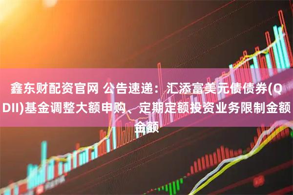 鑫东财配资官网 公告速递：汇添富美元债债券(QDII)基金调整大额申购、定期定额投资业务限制金额