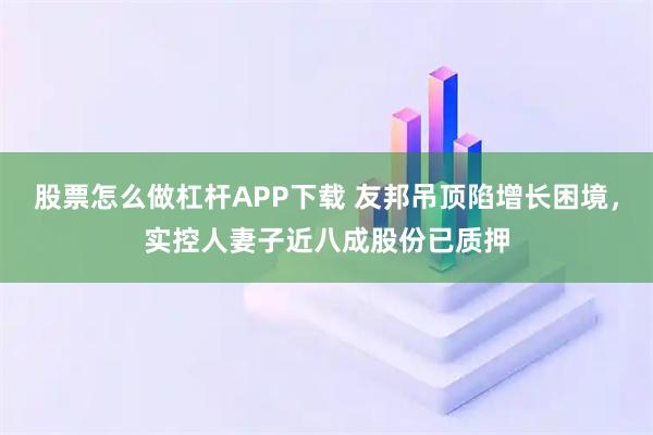 股票怎么做杠杆APP下载 友邦吊顶陷增长困境，实控人妻子近八成股份已质押