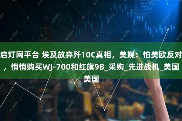 启灯网平台 埃及放弃歼10C真相，美媒：怕美欧反对，悄悄购买WJ-700和红旗9B_采购_先进战机_美国